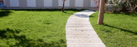 Guarda gli eventi dell'estate 2026